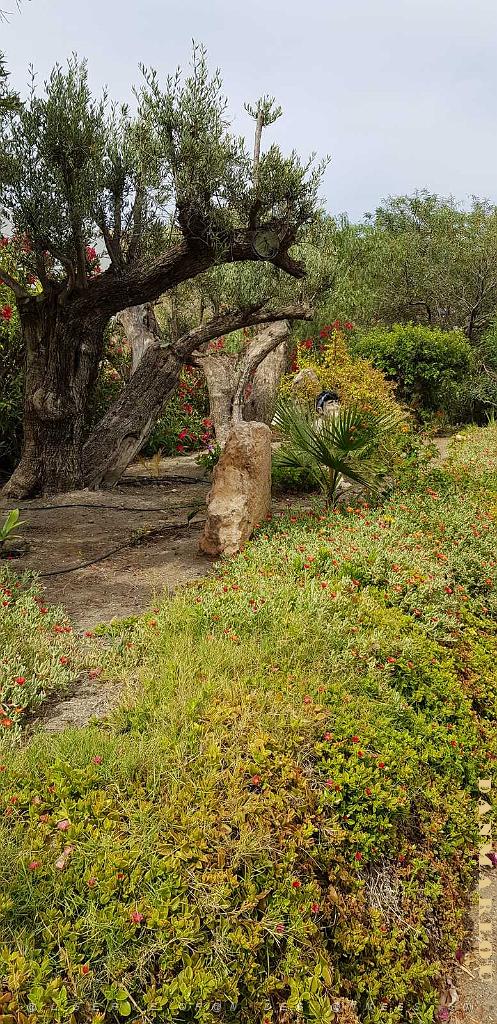 HOMMAGE A N.D. DE SANTA CRUZ A DALIAS DU 7 AU 10 JUIN 2019 (636) ESCAPADE A CARBONERA ET MOJACA .jpg